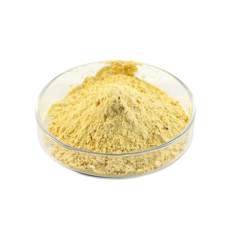 3-DIMETHYLAMINO PROPYLAMINE