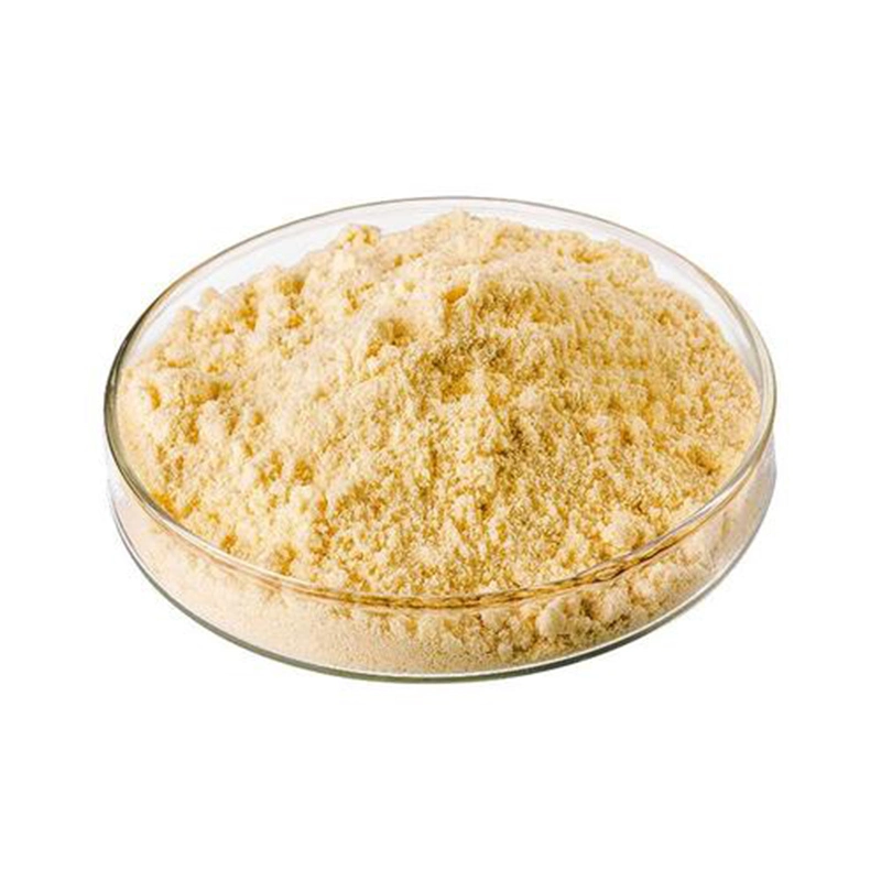 3-DIMETHYLAMINO PROPYLAMINE