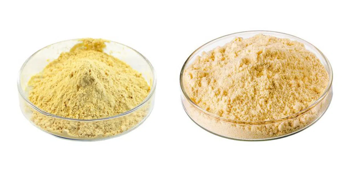 3-DIMETHYLAMINO PROPYLAMINE