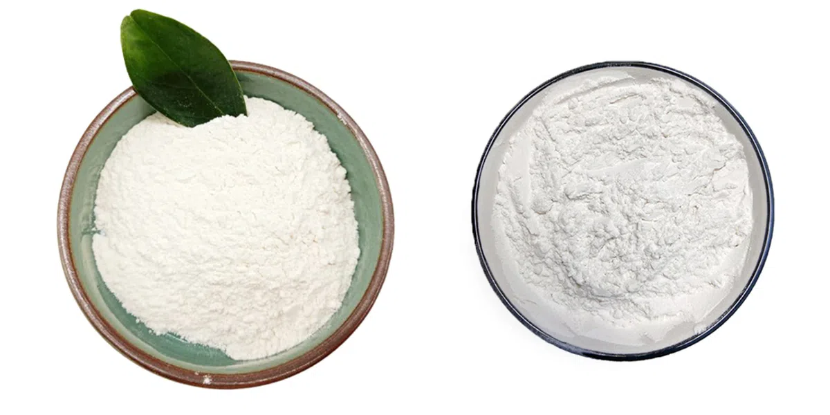 Chlorhexidine