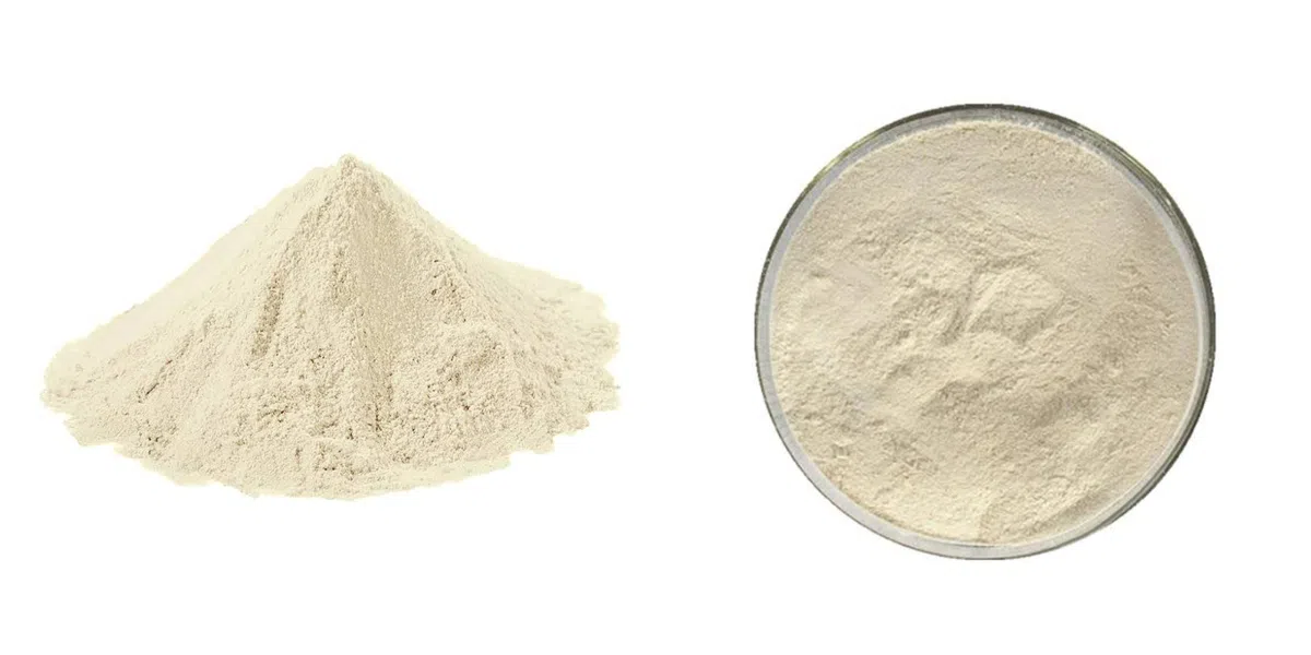Pancreatin