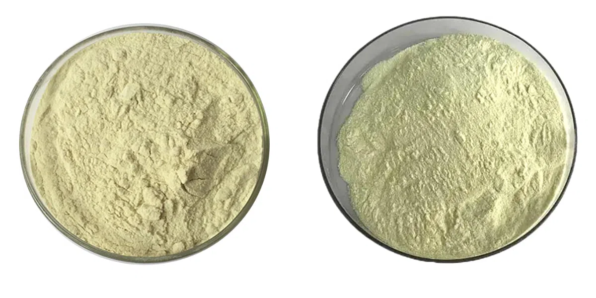 Collagenase